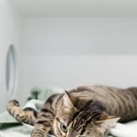 Photo of Mia