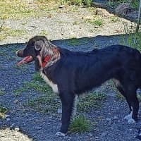 Photo of Finn Quinell