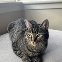 Photo of Lala