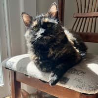 Photo of Clara 
