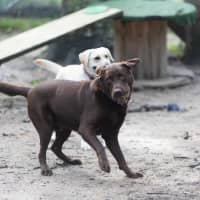Photo of Cadbury