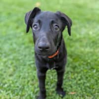 Photo of Ayla