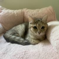 Photo of Astrid & Nova