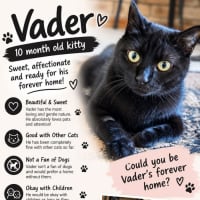 Photo of Vader