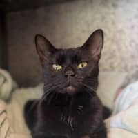Photo of Didi