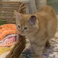 Photo of Fiyero