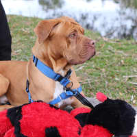 Photo of Zeke
