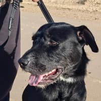 Photo of Billy (60926)