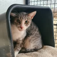 Photo of Glinda