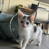 Photo of Mellie Baby