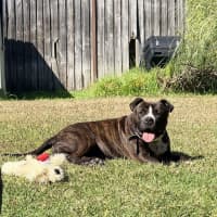 Photo of Sugar