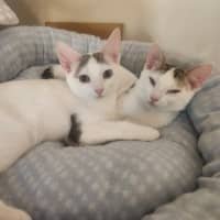 Photo of Verity & Solace