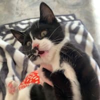 Photo of Christopher