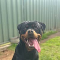 Photo of Max