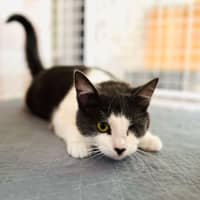 Photo of Bonnie   Located In Preston