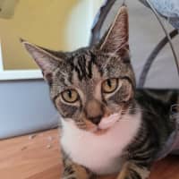 Photo of Betty