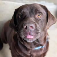 Photo of Coco