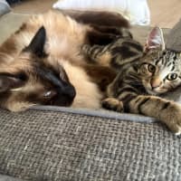 Photo of Peter & Griffin 