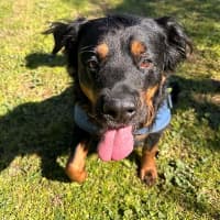 Photo of Maggie May