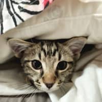 Photo of Mister Mason Munchy 