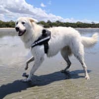 Photo of Zeus