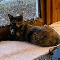 Photo of Dara   In Foster Care In Brunswick