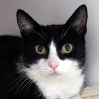 Photo of Lilo Sta013352