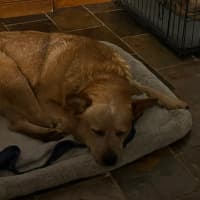 Photo of Brandylicious