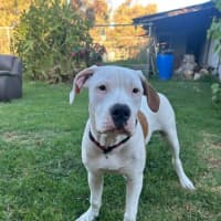 Photo of Molly