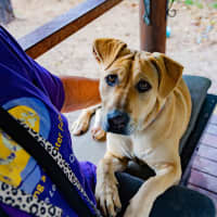 Photo of Missy