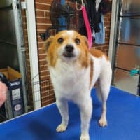 Photo of Basil Silvanus