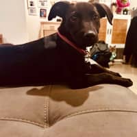 Photo of Vera