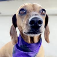 Photo of Benji And Saide