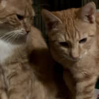 Photo of Zara And Leo