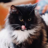Photo of Mimi