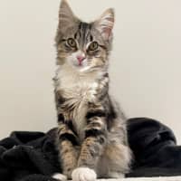 Photo of Winnie