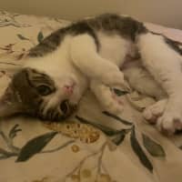 Photo of Theodore