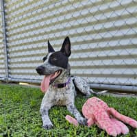 Photo of Bobbi