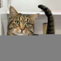 Photo of Coco