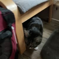 Photo of Tuxy