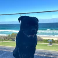 Photo of Reggie