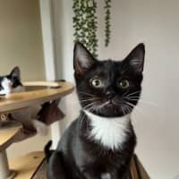 Photo of Jack & Jupiter