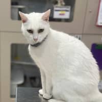 Photo of Moffy (0899)