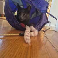 Photo of Blue
