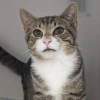 Photo of Fred