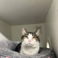 Photo of Sassy
