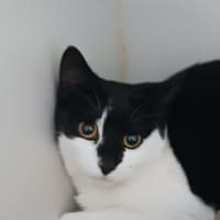 Photo of Shylah