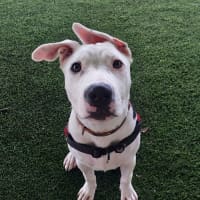 Photo of Molly