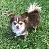 Photo of Bobbie