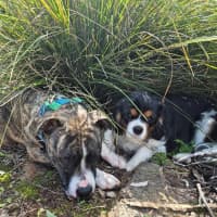 Photo of Cenric Riley